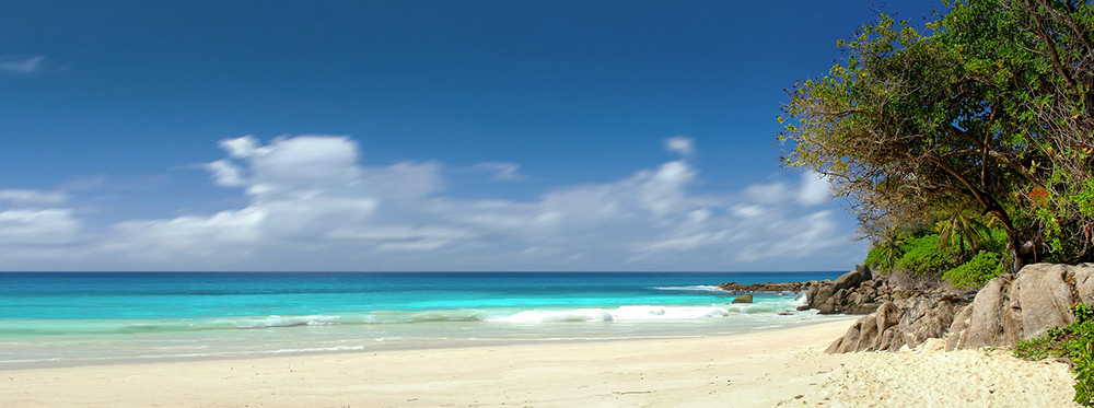 Notary Tips for Island Travel